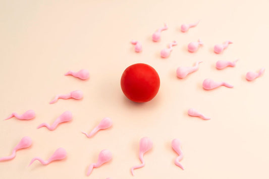 Illustration d'un couple devant un ovule fécondé par des spermatozoïdes
