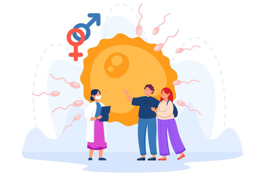 Illustration de fécondation avec couple, médecin, spermatozoïdes et ovule