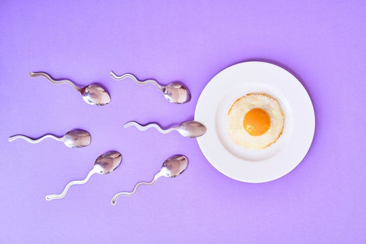 Mythes & Réalité Sur La Fertilité