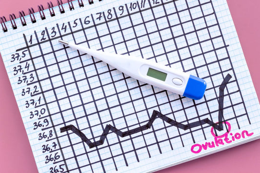 Courbe de température basale (TB) montrant l'ovulation, avec un thermomètre numérique