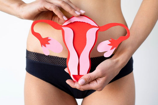 Frau in Periodenunterwäsche, die eine Darstellung einer Vagina in ihren Händen hält