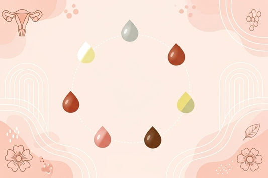 Illustration of seven colored drops representing the different shades of vaginal discharge throughout the cycle