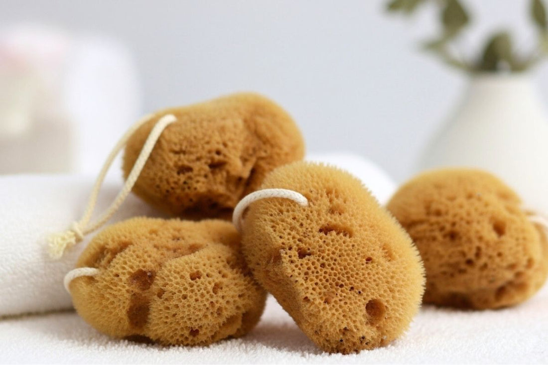 Menstruationsschwamm: Was ist diese natürliche Alternative wert?