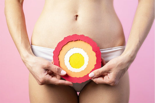 Une femme tient une illustration d'une ovulation devant elle